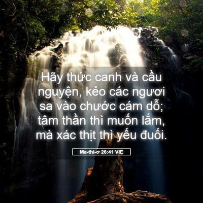 Picture 05 - Ma-thi-ơ 26:41 VIE - Hãy thức canh và cầu nguyện, kẻo các - Bible Verse Picture