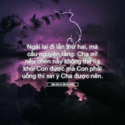 Picture 05 - Ma-thi-ơ 26:42 VIE - Ngài lại đi lần thứ hai, mà cầu - Bible Verse Picture