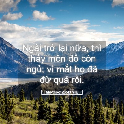 Picture 05 - Ma-thi-ơ 26:43 VIE - Ngài trở lại nữa, thì thấy môn đồ - Bible Verse Picture