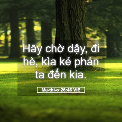 Picture 05 - Ma-thi-ơ 26:46 VIE - Hãy chờ dậy, đi hè, kìa kẻ phản ta - Bible Verse Picture
