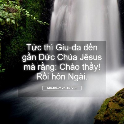 Picture 05 - Ma-thi-ơ 26:49 VIE - Tức thì Giu-đa đến gần Đức Chúa - Bible Verse Picture