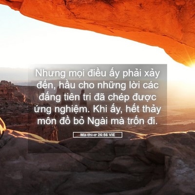 Picture 05 - Ma-thi-ơ 26:56 VIE - Nhưng mọi điều ấy phải xảy đến, - Bible Verse Picture