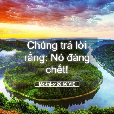 Picture 05 - Ma-thi-ơ 26:66 VIE - Chúng trả lời rằng: Nó đáng - Bible Verse Picture