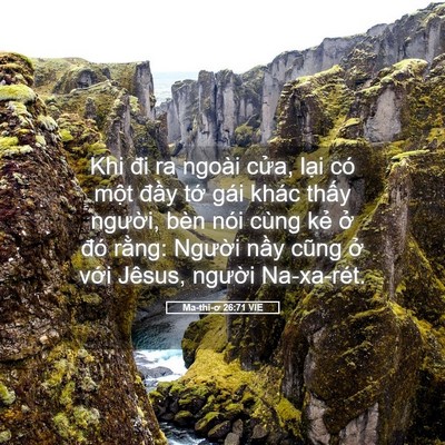 Picture 05 - Ma-thi-ơ 26:71 VIE - Khi đi ra ngoài cửa, lại có một đầy - Bible Verse Picture