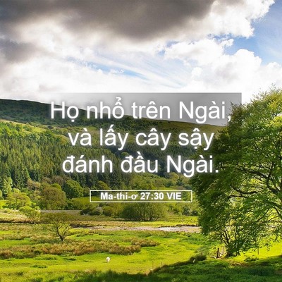 Picture 05 - Ma-thi-ơ 27:30 VIE - Họ nhổ trên Ngài, và lấy cây sậy - Bible Verse Picture