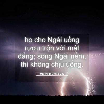 Picture 05 - Ma-thi-ơ 27:34 VIE - họ cho Ngài uống rượu trộn với mật - Bible Verse Picture