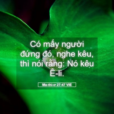 Picture 05 - Ma-thi-ơ 27:47 VIE - Có mấy người đứng đó, nghe kêu, thì - Bible Verse Picture