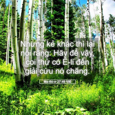 Picture 05 - Ma-thi-ơ 27:49 VIE - Nhưng kẻ khác thì lại nói rằng: Hãy - Bible Verse Picture