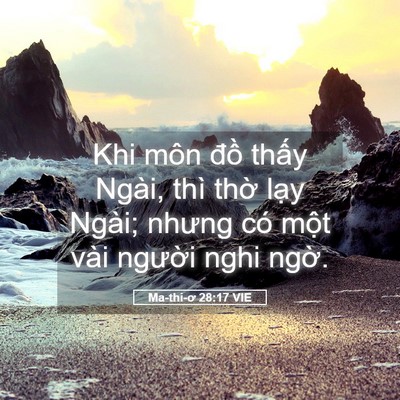 Picture 05 - Ma-thi-ơ 28:17 VIE - Khi môn đồ thấy Ngài, thì thờ lạy - Bible Verse Picture