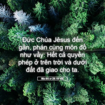 Picture 05 - Ma-thi-ơ 28:18 VIE - Đức Chúa Jêsus đến gần, phán cùng - Bible Verse Picture