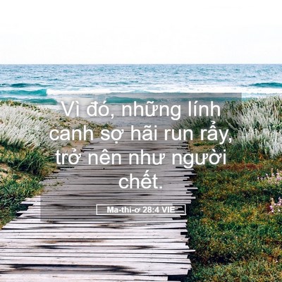 Picture 05 - Ma-thi-ơ 28:4 VIE - Vì đó, những lính canh sợ hãi run rẩy, - Bible Verse Picture