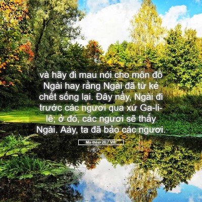 Picture 05 - Ma-thi-ơ 28:7 VIE - và hãy đi mau nói cho môn đồ Ngài hay - Bible Verse Picture