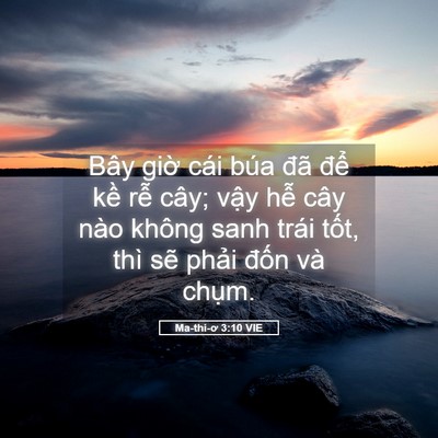 Picture 05 - Ma-thi-ơ 3:10 VIE - Bây giờ cái búa đã để kề rễ cây; - Bible Verse Picture