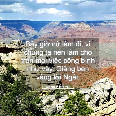 Picture 05 - Ma-thi-ơ 3:15 VIE - Bây giờ cứ làm đi, vì chúng ta nên làm - Bible Verse Picture