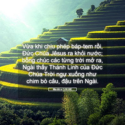 Picture 05 - Ma-thi-ơ 3:16 VIE - Vừa khi chịu phép báp-tem rồi, Đức - Bible Verse Picture