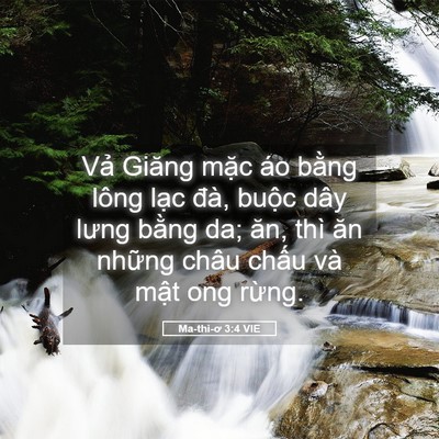 Picture 05 - Ma-thi-ơ 3:4 VIE - Vả Giăng mặc áo bằng lông lạc đà, - Bible Verse Picture