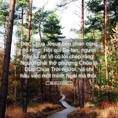 Picture 05 - Ma-thi-ơ 4:10 VIE - Đức Chúa Jêsus bèn phán cùng nó rằng: - Bible Verse Picture