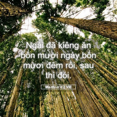 Picture 05 - Ma-thi-ơ 4:2 VIE - Ngài đã kiêng ăn bốn mươi ngày bốn - Bible Verse Picture