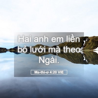 Picture 05 - Ma-thi-ơ 4:20 VIE - Hai anh em liền bỏ lưới mà theo - Bible Verse Picture