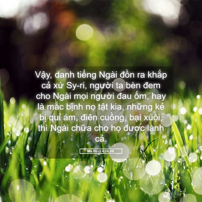 Picture 05 - Ma-thi-ơ 4:24 VIE - Vậy, danh tiếng Ngài đồn ra khắp cả - Bible Verse Picture