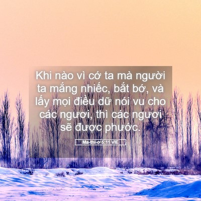 Picture 05 - Ma-thi-ơ 5:11 VIE - Khi nào vì cớ ta mà người ta mắng - Bible Verse Picture