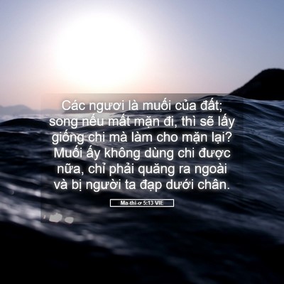Picture 05 - Ma-thi-ơ 5:13 VIE - Các ngươi là muối của đất; song nếu - Bible Verse Picture