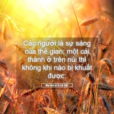 Picture 05 - Ma-thi-ơ 5:14 VIE - Các ngươi là sự sáng của thế gian; - Bible Verse Picture