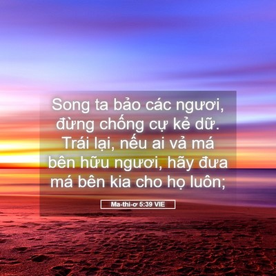 Picture 05 - Ma-thi-ơ 5:39 VIE - Song ta bảo các ngươi, đừng chống cự - Bible Verse Picture