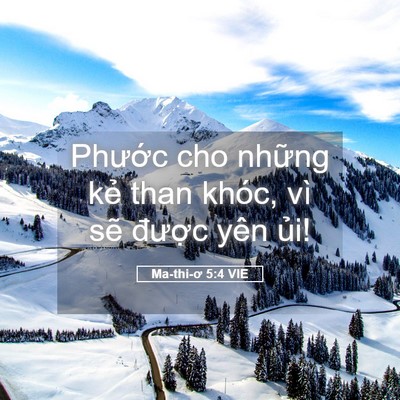 Picture 05 - Ma-thi-ơ 5:4 VIE - Phước cho những kẻ than khóc, vì sẽ - Bible Verse Picture