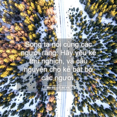 Picture 05 - Ma-thi-ơ 5:44 VIE - Song ta nói cùng các ngươi rằng: Hãy yêu - Bible Verse Picture