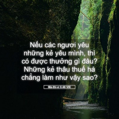Picture 05 - Ma-thi-ơ 5:46 VIE - Nếu các ngươi yêu những kẻ yêu mình, - Bible Verse Picture