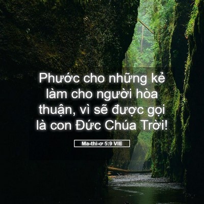Picture 05 - Ma-thi-ơ 5:9 VIE - Phước cho những kẻ làm cho người hòa - Bible Verse Picture