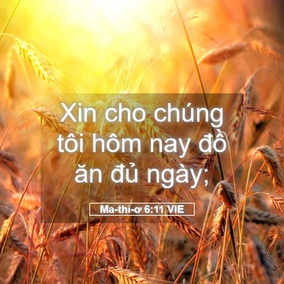 Picture 05 - Ma-thi-ơ 6:11 VIE - Xin cho chúng tôi hôm nay đồ ăn đủ - Bible Verse Picture