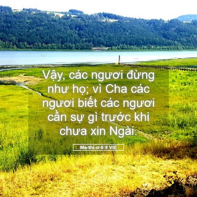 Picture 05 - Ma-thi-ơ 6:8 VIE - Vậy, các ngươi đừng như họ; vì Cha - Bible Verse Picture