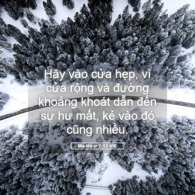 Picture 05 - Ma-thi-ơ 7:13 VIE - Hãy vào cửa hẹp, vì cửa rộng và - Bible Verse Picture