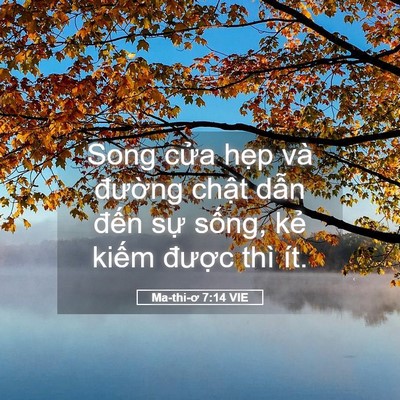 Picture 05 - Ma-thi-ơ 7:14 VIE - Song cửa hẹp và đường chật dẫn - Bible Verse Picture