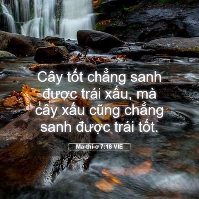 Picture 05 - Ma-thi-ơ 7:18 VIE - Cây tốt chẳng sanh được trái xấu, mà - Bible Verse Picture