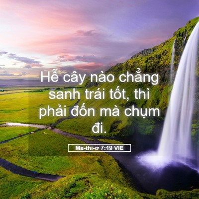 Picture 05 - Ma-thi-ơ 7:19 VIE - Hễ cây nào chẳng sanh trái tốt, thì - Bible Verse Picture
