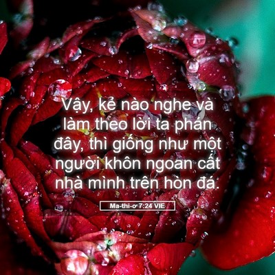 Picture 05 - Ma-thi-ơ 7:24 VIE - Vậy, kẻ nào nghe và làm theo lời ta - Bible Verse Picture