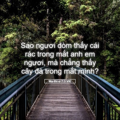 Picture 05 - Ma-thi-ơ 7:3 VIE - Sao ngươi dòm thấy cái rác trong mắt anh - Bible Verse Picture