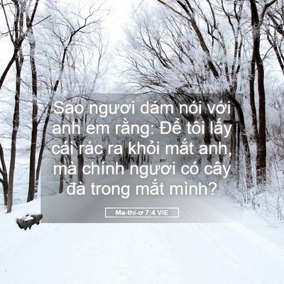 Picture 05 - Ma-thi-ơ 7:4 VIE - Sao ngươi dám nói với anh em rằng: Để - Bible Verse Picture