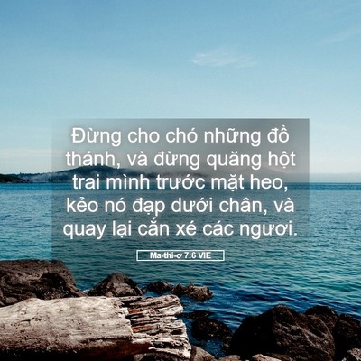 Picture 05 - Ma-thi-ơ 7:6 VIE - Đừng cho chó những đồ thánh, và - Bible Verse Picture
