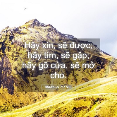 Picture 05 - Ma-thi-ơ 7:7 VIE - Hãy xin, sẽ được; hãy tìm, sẽ gặp; - Bible Verse Picture