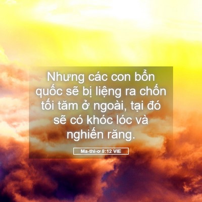 Picture 05 - Ma-thi-ơ 8:12 VIE - Nhưng các con bổn quốc sẽ bị liệng ra - Bible Verse Picture