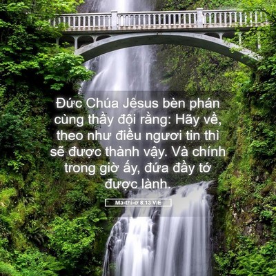 Picture 05 - Ma-thi-ơ 8:13 VIE - Đức Chúa Jêsus bèn phán cùng thầy - Bible Verse Picture