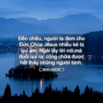 Picture 05 - Ma-thi-ơ 8:16 VIE - Đến chiều, người ta đem cho Đức Chúa - Bible Verse Picture