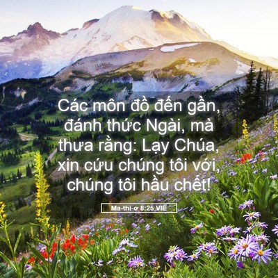 Picture 05 - Ma-thi-ơ 8:25 VIE - Các môn đồ đến gần, đánh thức - Bible Verse Picture