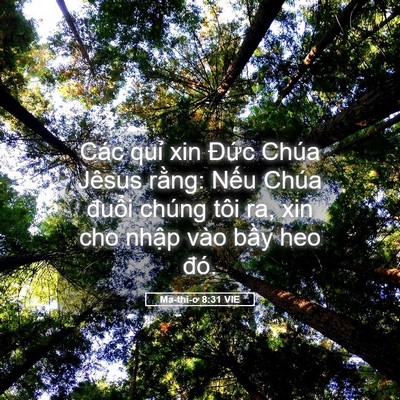 Picture 05 - Ma-thi-ơ 8:31 VIE - Các quỉ xin Đức Chúa Jêsus rằng: Nếu - Bible Verse Picture