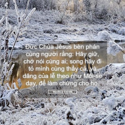 Picture 05 - Ma-thi-ơ 8:4 VIE - Đức Chúa Jêsus bèn phán cùng người - Bible Verse Picture