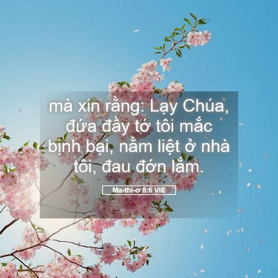Picture 05 - Ma-thi-ơ 8:6 VIE - mà xin rằng: Lạy Chúa, đứa đầy tớ - Bible Verse Picture